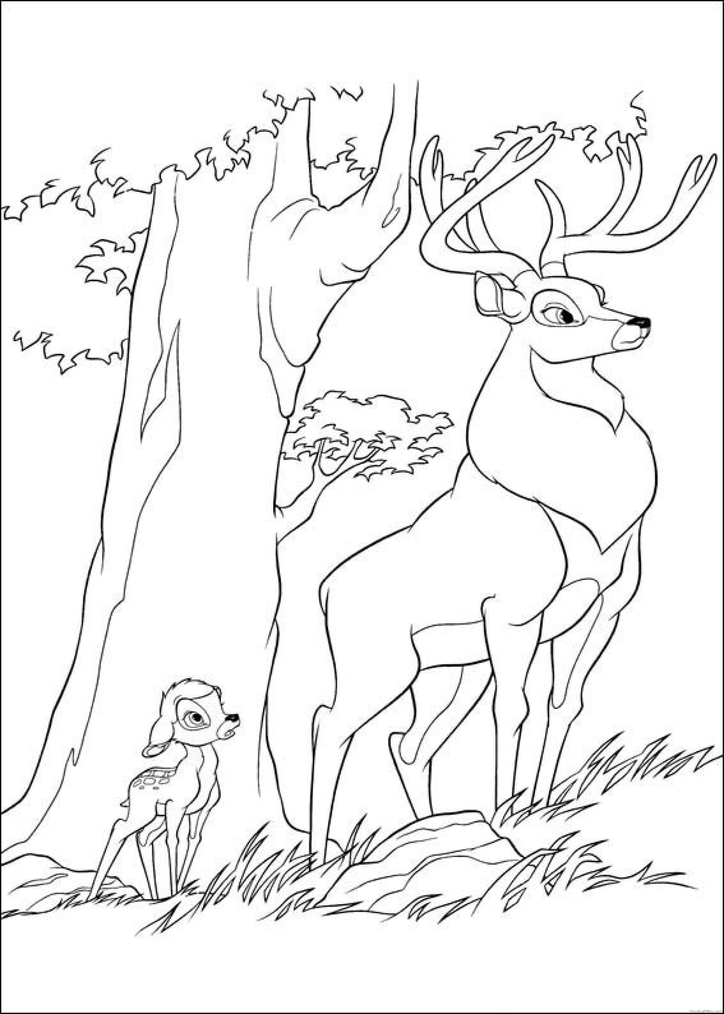 Раскраска олень с олененком